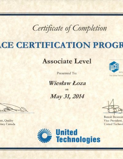 ACE Certification Program